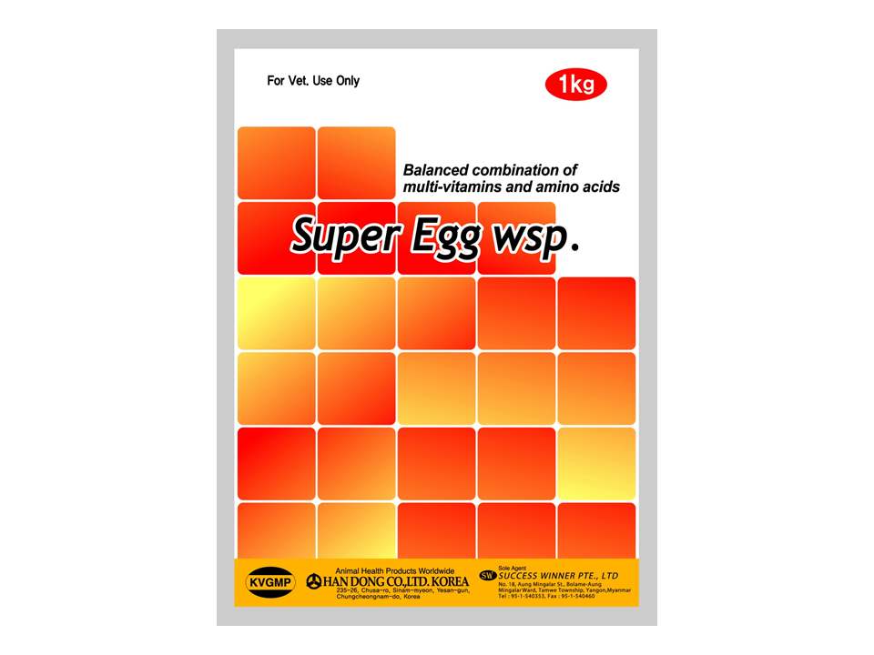 SUPER EGG WSP